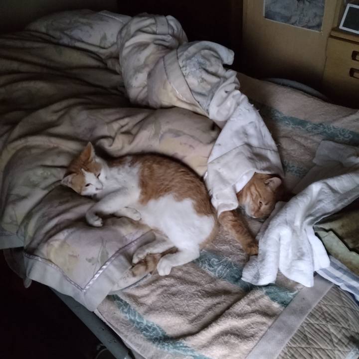 33fc870f 770c 4723 a44c 8d8c05d30da8 1748727942961