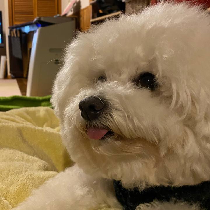 33fc8fe7 2657 4912 8add 4a7d04d05f51 1674559433030