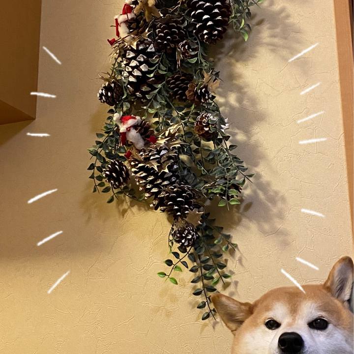 33fcbe9c f5b4 435c b409 91286c755ffa 1638371995185