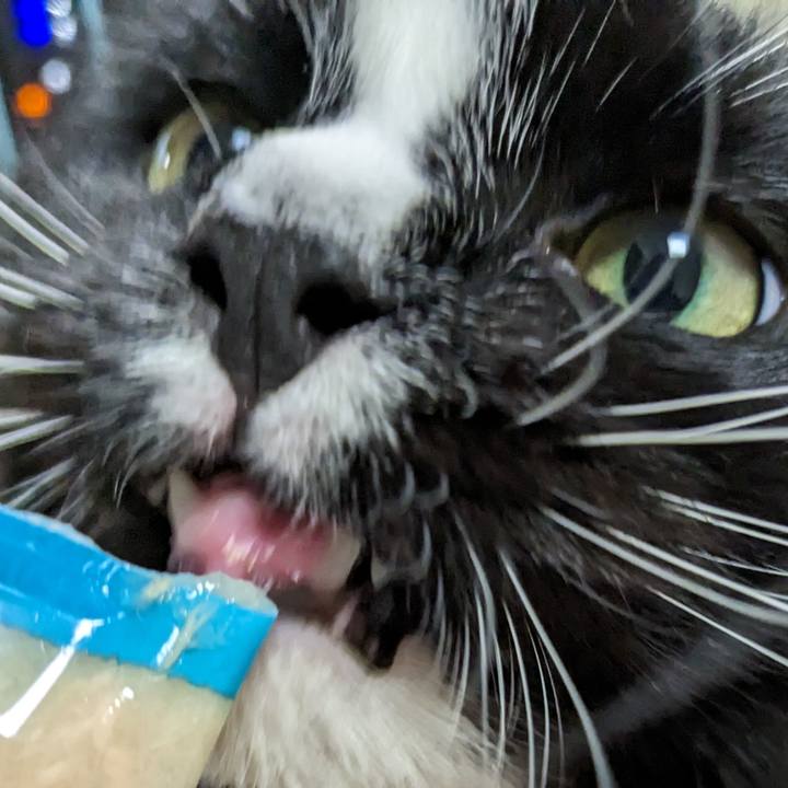 33fccc49 847e 400e 8446 d40c2bbeadfe 1694950128990