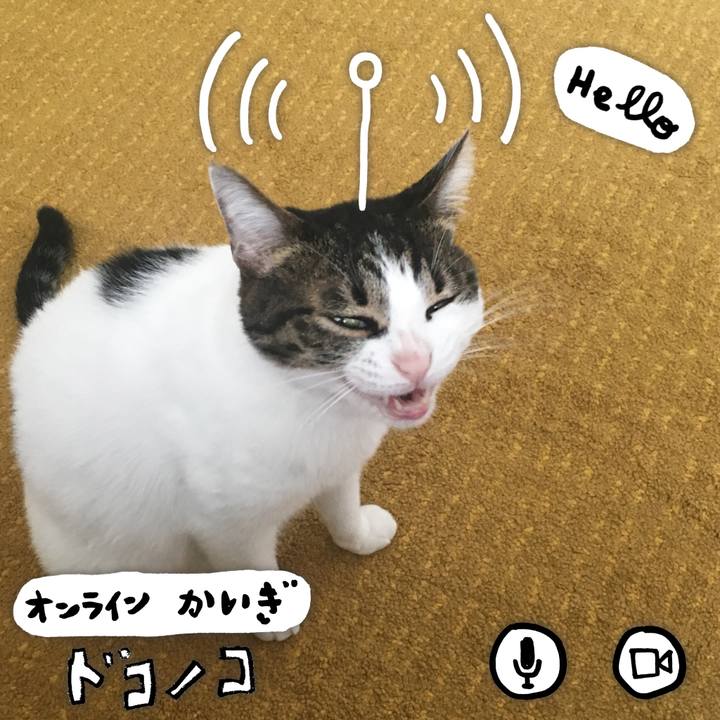 33fccf96 0967 4395 b1d5 5d5a4529e42d 1590841388620