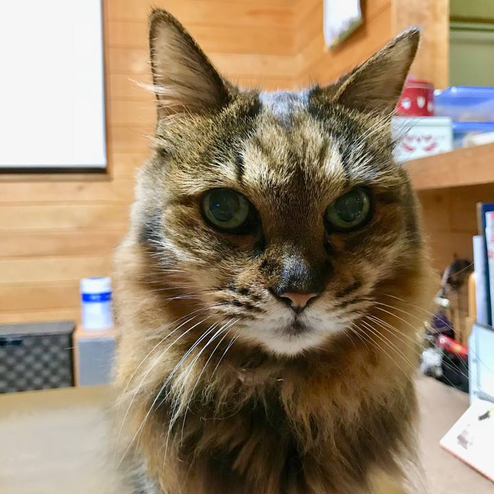 33fcd900 07cb 46f9 864f 2aa2fd3a87dc 1512729166301