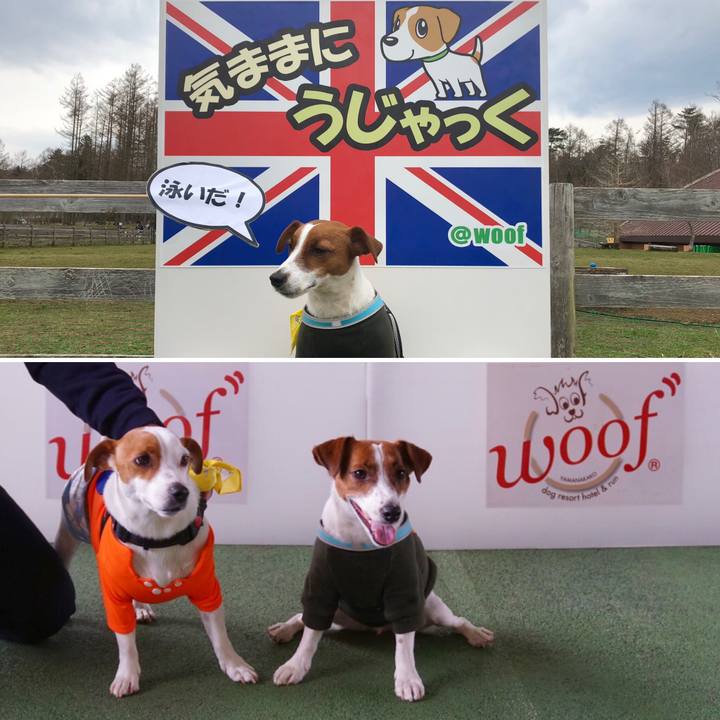 33fcfb2f f3c0 4913 b96d 2b011f0068fd 1555241203634