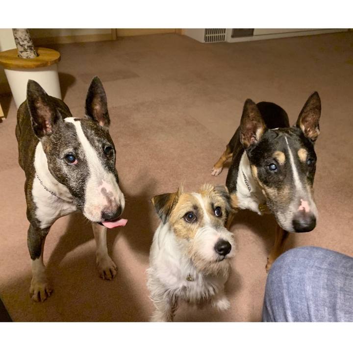 33fcfbd1 85a2 4f92 8283 e9046f2b1fa6 1595587387712