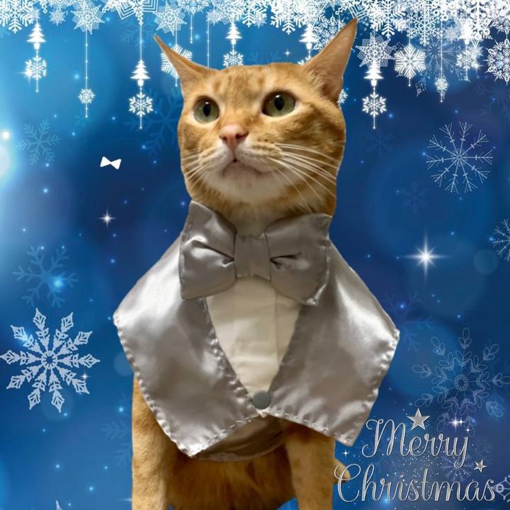 33fd00ef 597b 4ae7 9cb9 5ac2384a3b37 1640213643532