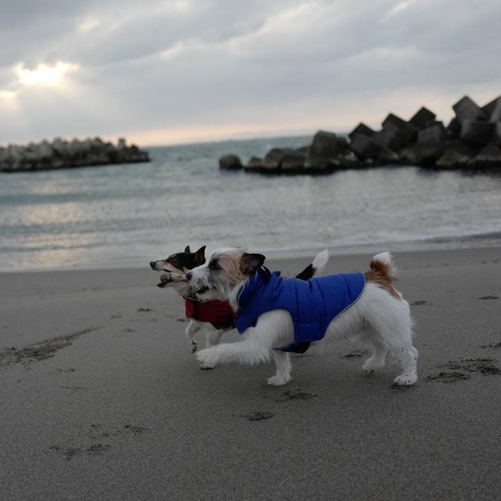 33fd0549 0e80 48b8 bb67 d5a0f8d5a7f0 1520396992428