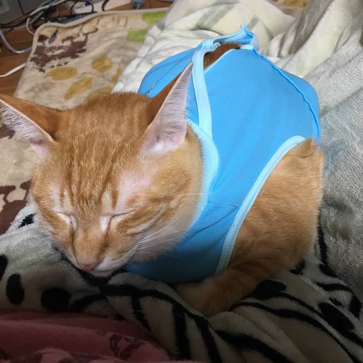 33fd2bf0 e570 46d3 97de e7396a383e2c 1520262160182