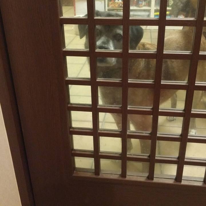 33fd3e0d 3750 4013 8612 19f204cea682 1516281335154