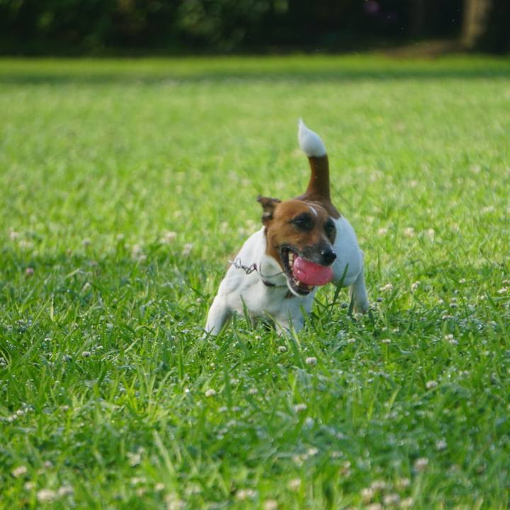 33fd7e03 4f54 429c 8353 978007b225b7 1530487726306