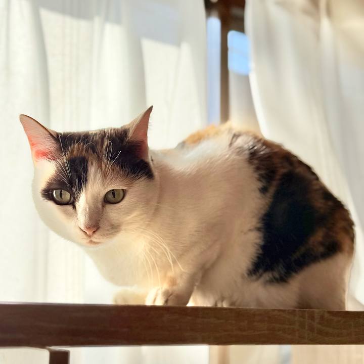 33fd894a 7604 43c4 b567 30d132735e20 1765073044125