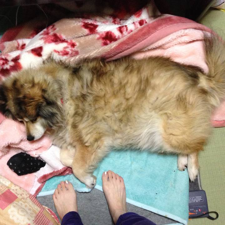 33fd9f5c 635d 4248 a633 93c52016135e 1550833923391