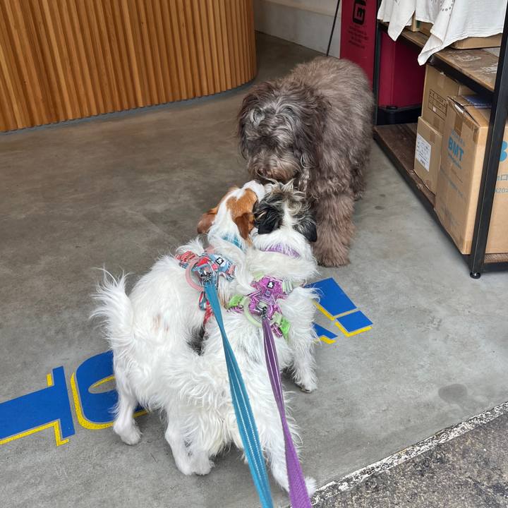 33fdb4db a163 44cc ba11 053dd2991fd8 1777104790295