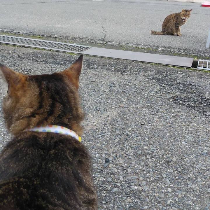 33fdbbe8 6d40 467e 89d1 fc29719d940d 1590192131811