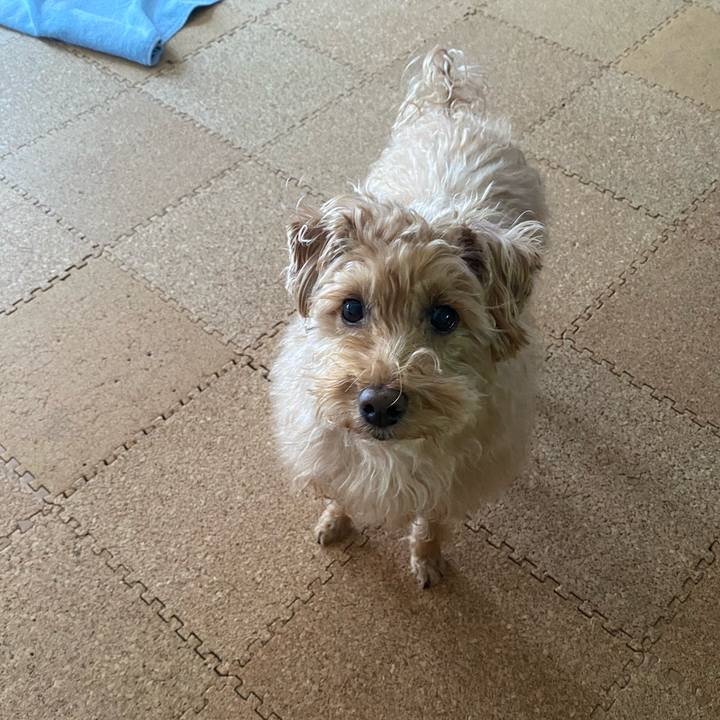 33fdc4fb def5 4a9f a629 bcc391cfb173 1676164969645