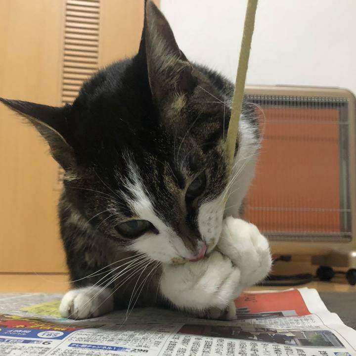 33fde023 aff3 4115 a928 15a0c84f5e6f 1556776604962