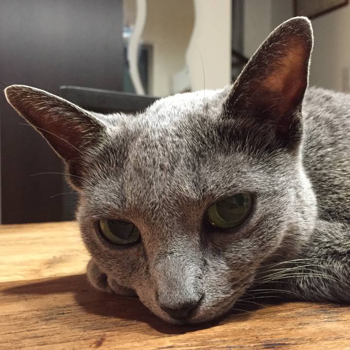 33fde02e 4209 4586 95e8 3ea9091f09d2 1533904222166