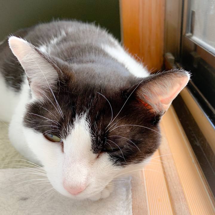 33fde5f5 964b 4cc5 954c f8abbbc3234c 1561166790877