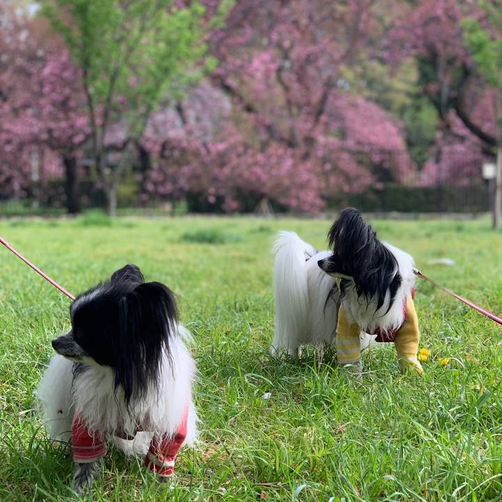 33fdeb3c efe4 4707 a462 d49f84c70ae3 1555510243300