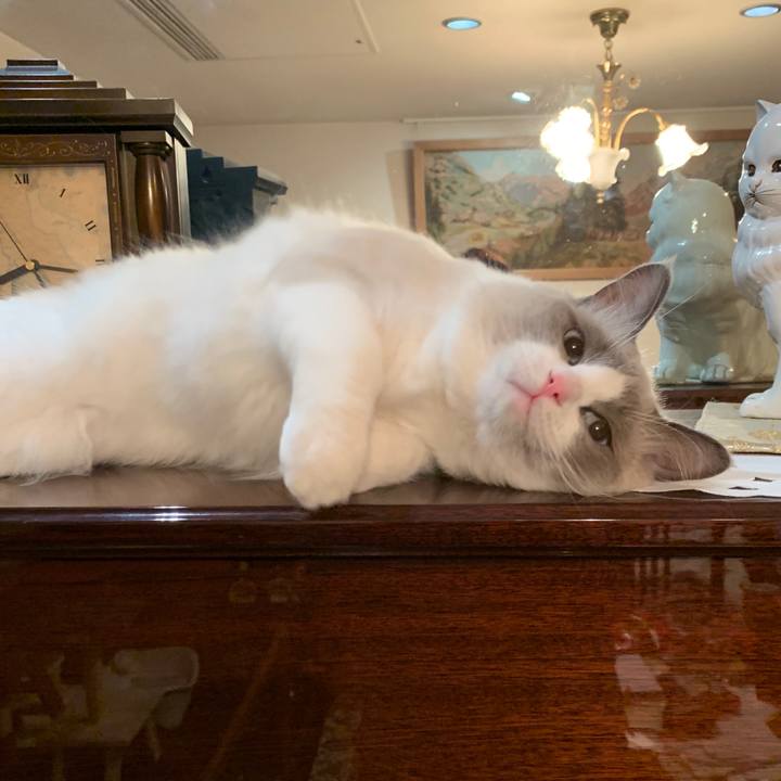 33fdeba0 4bbd 4b6d 86c2 36550cce3f5d 1643887610886