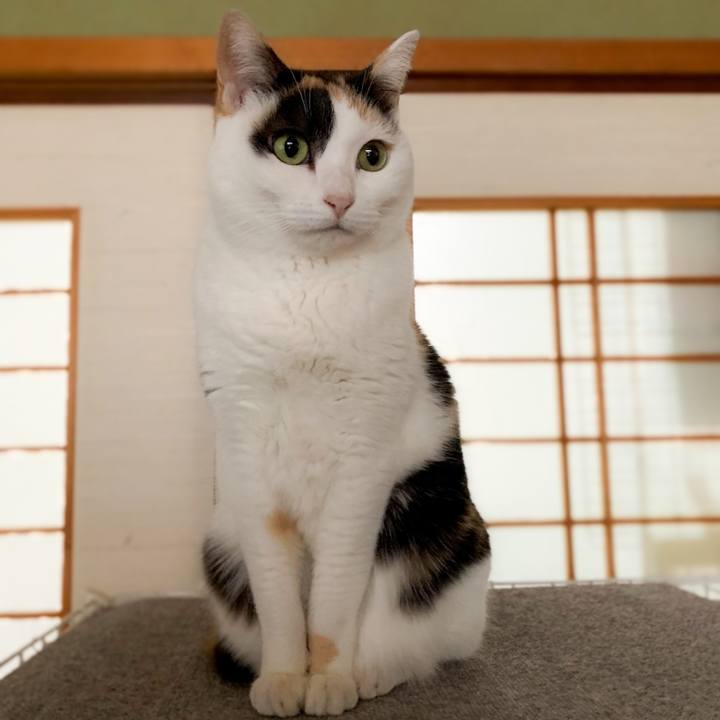 33fe05c2 1f11 470b 8cec b2fe41b263b9 1582163136784