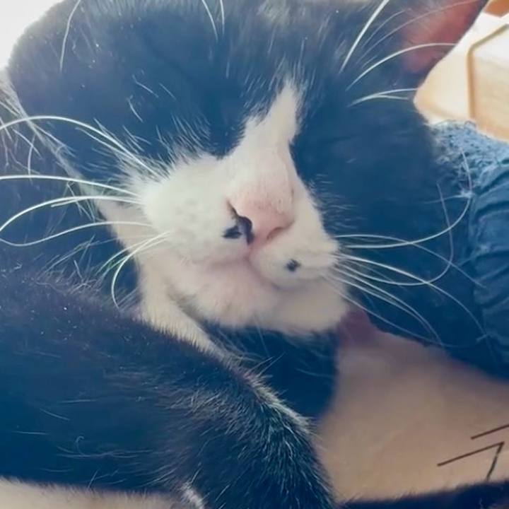 33fe11b4 a6ca 4139 b32c feb36b29f4a3 1765248371544