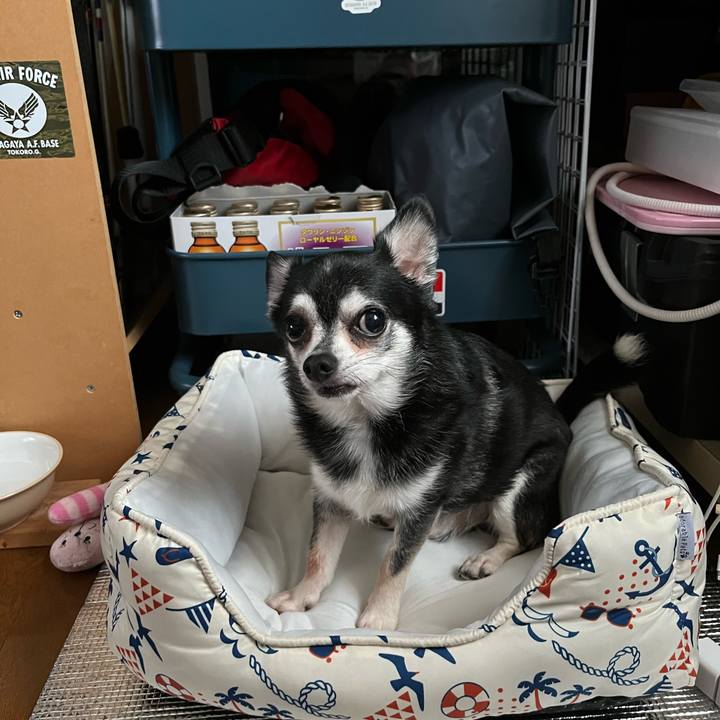 33fe1503 bc08 4123 8537 afd5ee37a45b 1690155539911