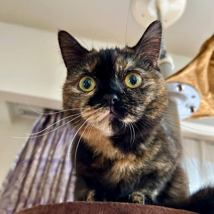 33fe1b04 70cc 428a 8841 bb8867aeff1d 1763272213974