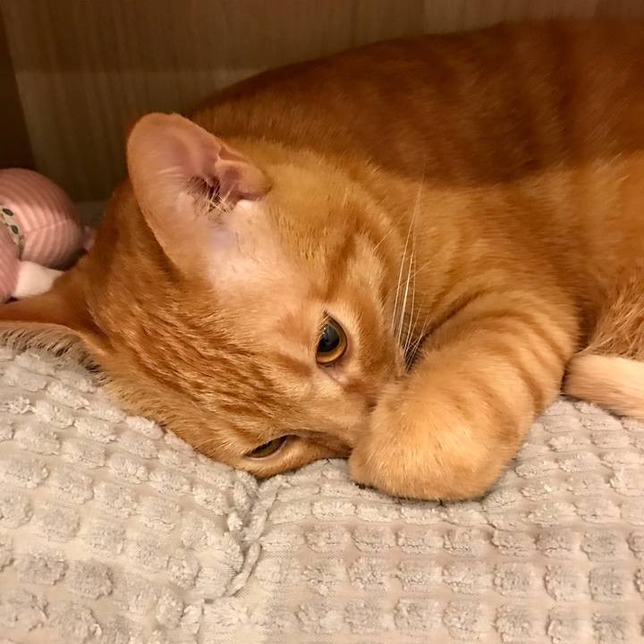 33fe1c4a fc72 4d8b 8450 e966f7ec3bce 1593515340563