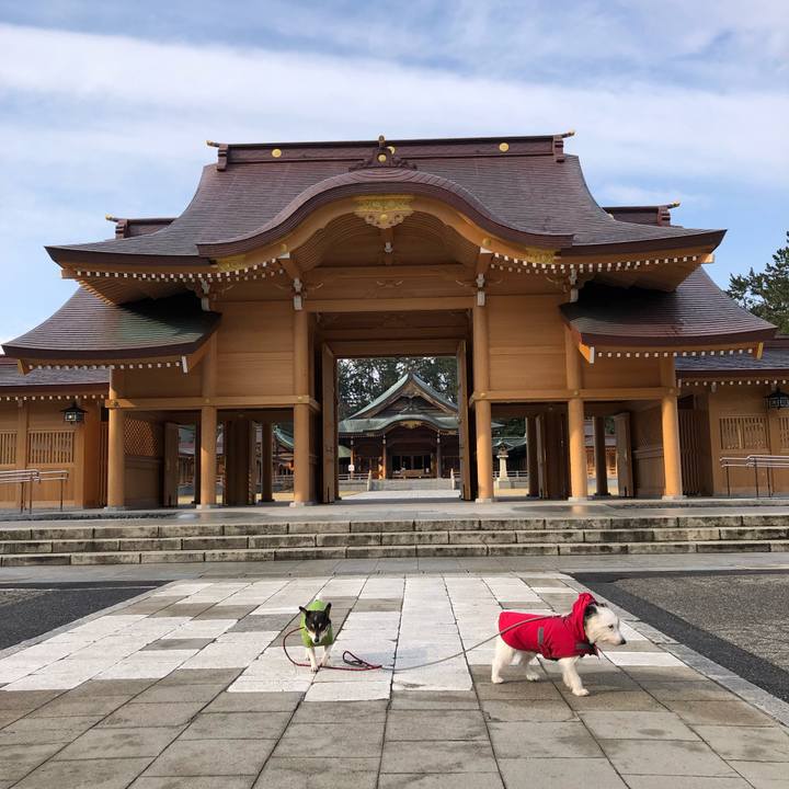 33fe2f2f 11d8 4aaa a239 45844dfdd3bb 1554163166849