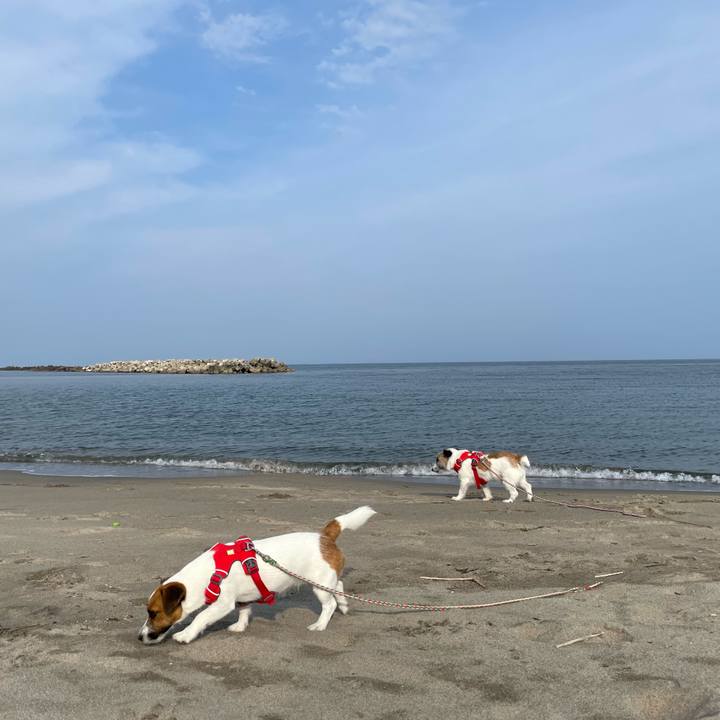 33fe3d91 752d 4e6e be8b ea2489fd9f84 1655508859854