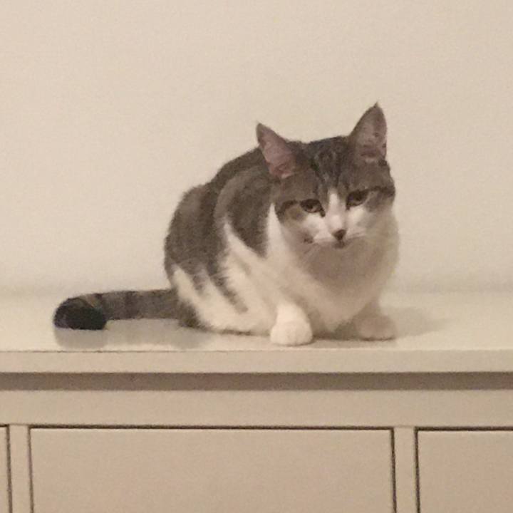 33fe9b4d 730c 42fe 87fb f1533ab242fc 1661212082777