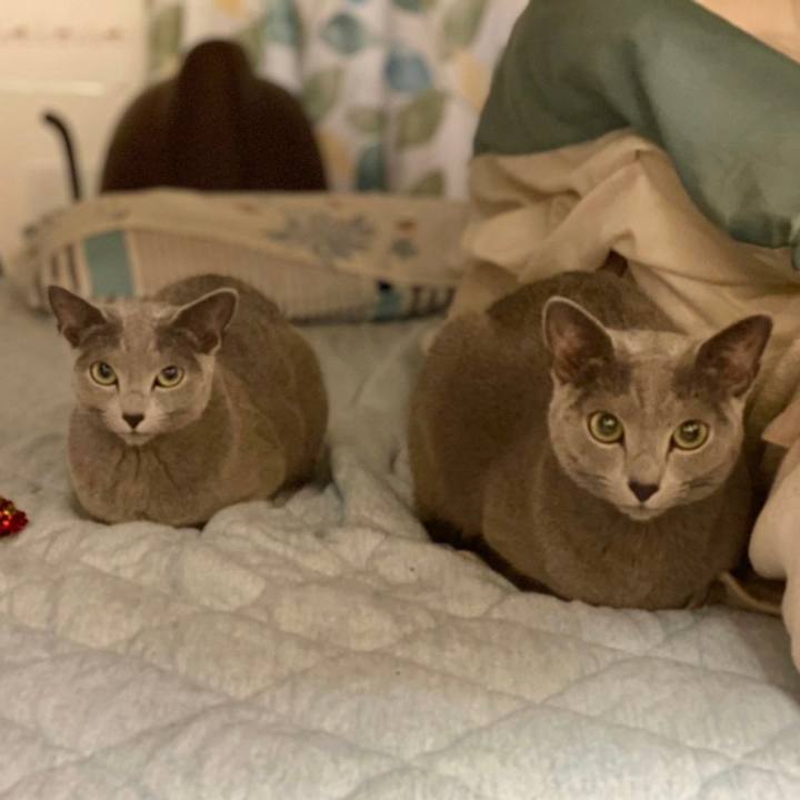 33fea673 6c38 48c3 8536 87a9a61efbc4 1641255223619