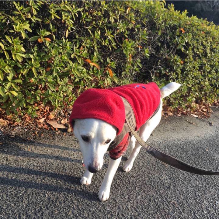 33feccff a3a9 4b84 a0b0 11f9bf49fdea 1769038023493