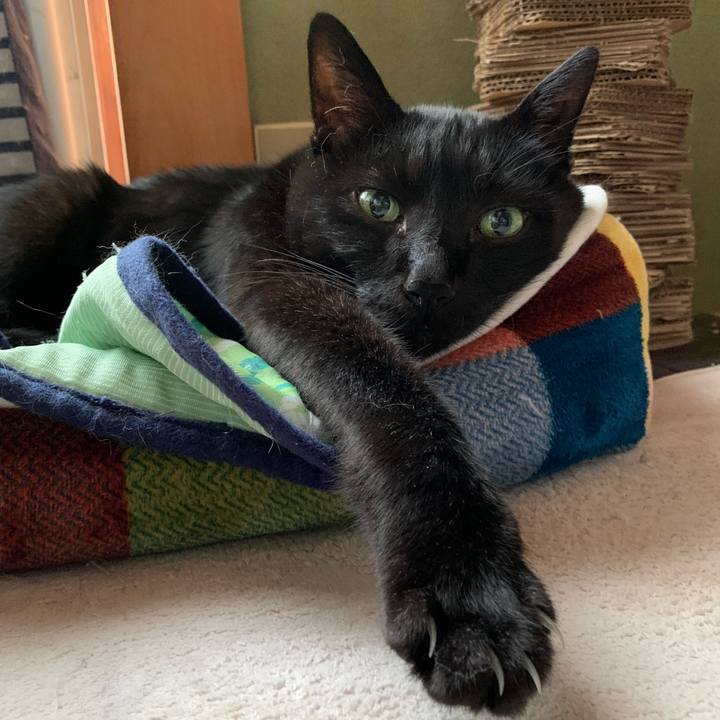 33fee057 2141 425f 838a 85ad1a0a210c 1601082173632