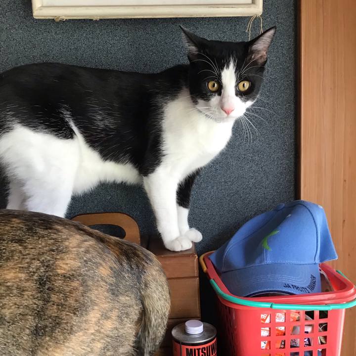 33ff0159 e851 458f b46b 0d9e9a9a1a4b 1636782404546