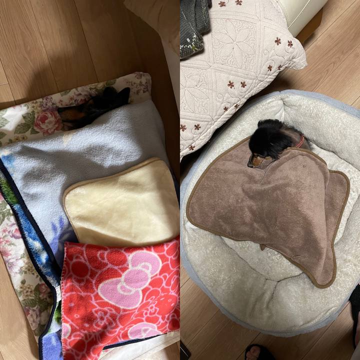 33ff0d14 814c 4f02 a656 546ce2573434 1702823103240