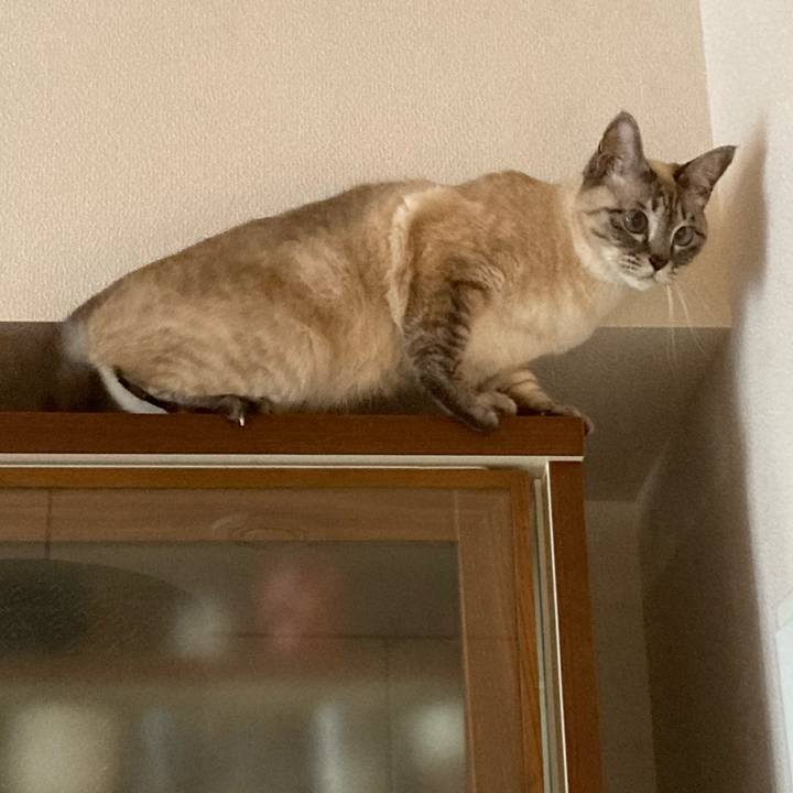 33ff6d61 18cb 49db a359 5ab95da737cc 1676089832434