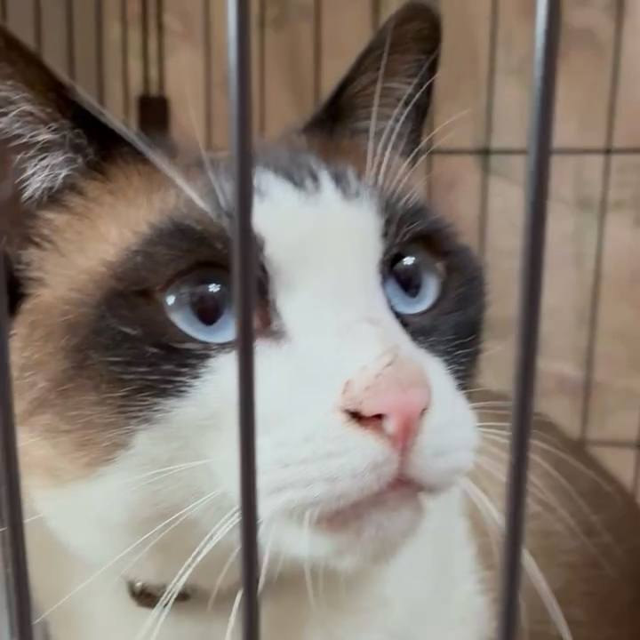 33ff96e2 80d0 4a60 b13f c31ed37d5e80 1750298628894