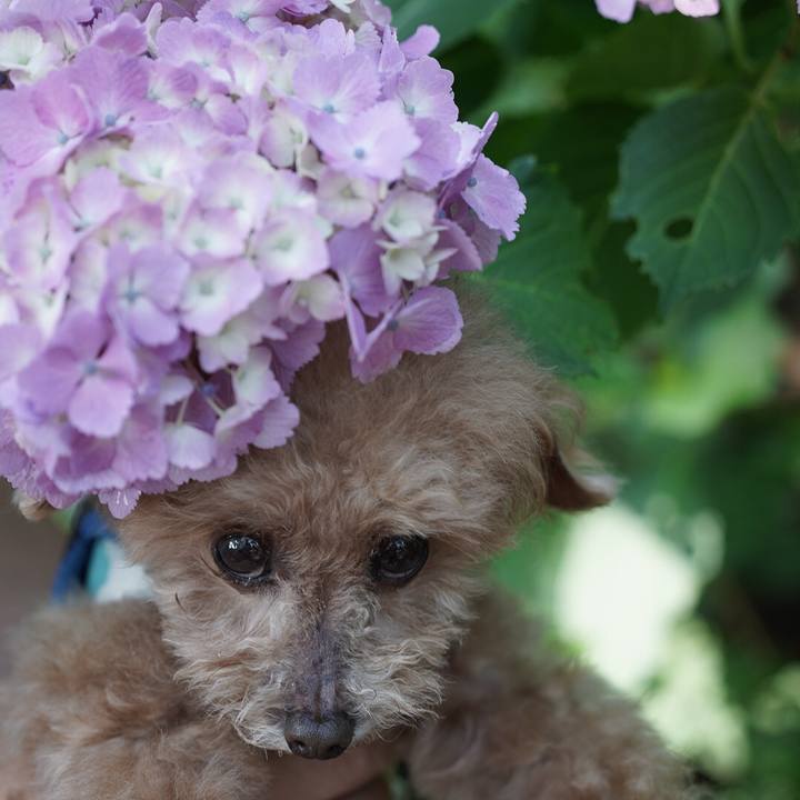 33ffaab1 8deb 4bbb b251 52d1e7fee33d 1697254408081