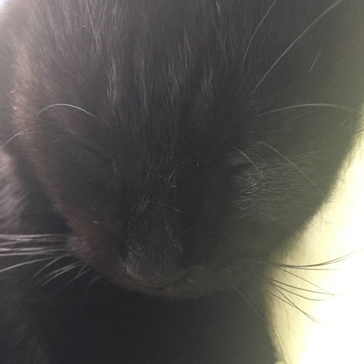 33ffb46a dd17 4229 9313 a44ed3ab7b64 1539090752200