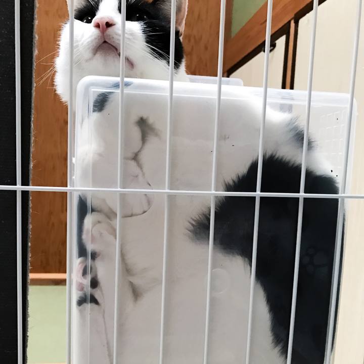 33ffc05c dae9 4960 b7ab a71f9ac76cf7 1510665581642