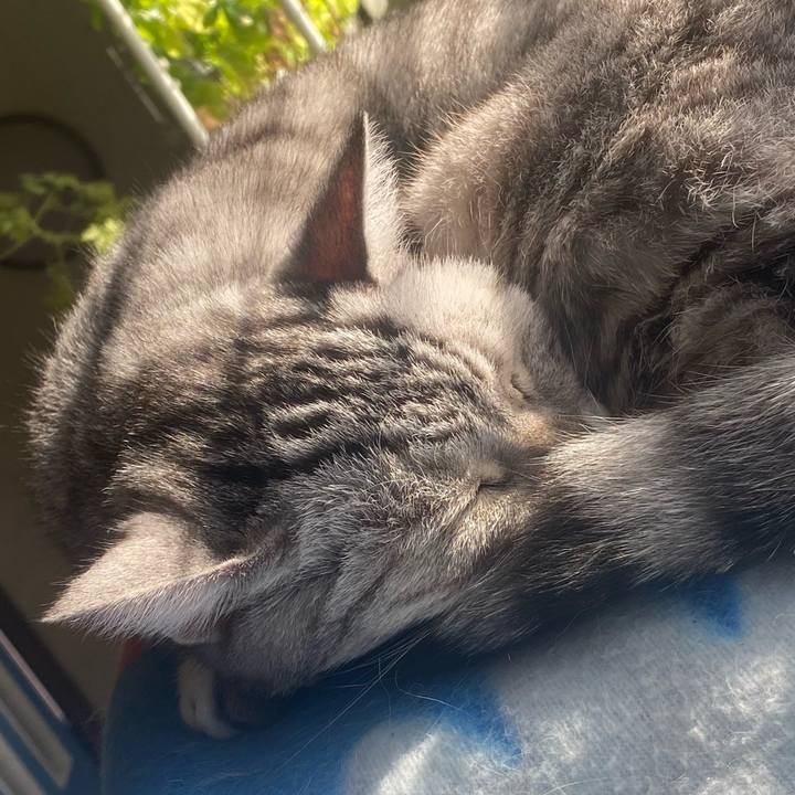 33ffdab0 faaa 47d9 8504 954640b5cf1a 1762046019548