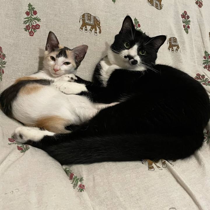 33ffe379 ed7b 4b8b 8c67 8a8ef367e677 1661436504647