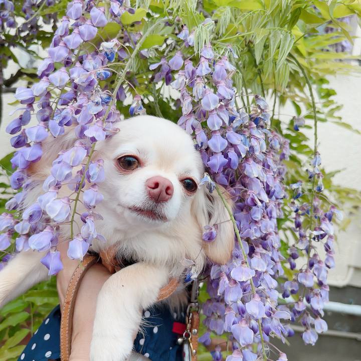 33ffe8c3 4072 46a0 a0d2 4f237c85728d 1714196318596