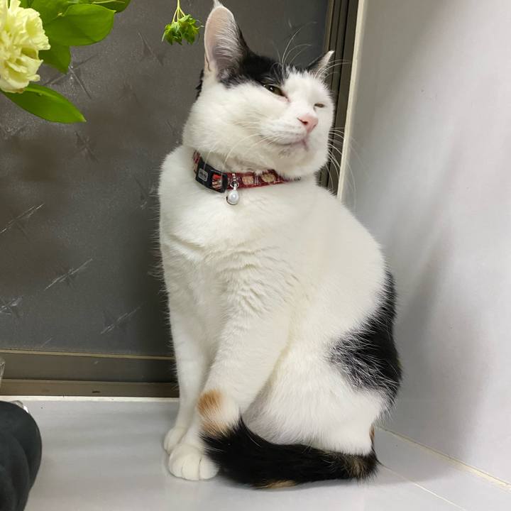 33fffe72 106a 4d89 8ac5 f05eaf572a67 1674819857294