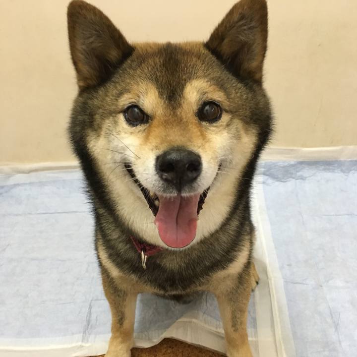 34005ca3 d643 4152 b505 a50e1890578a 1560935894347