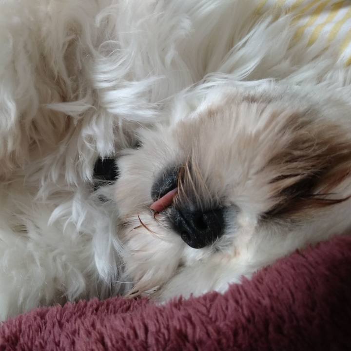 34006fbc c446 49c3 85f2 beb5697279f2 1610881335788