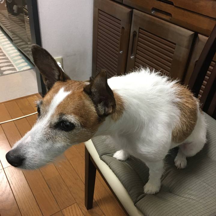 3400742d 6888 470b b3da 324fedaf99b4 1571959210132