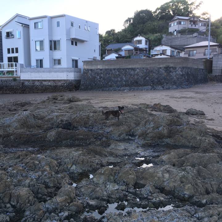 340077af 04f5 4ff1 82c7 fc57f4af4c91 1534287716604