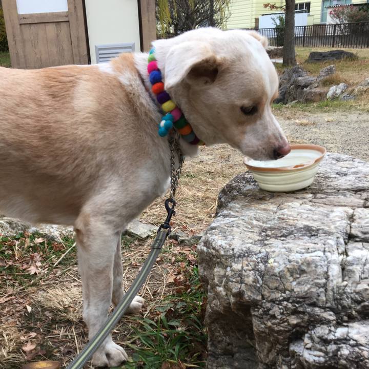 3400cadd b21d 4e62 86c7 eaa67cb0f6da 1514073917484